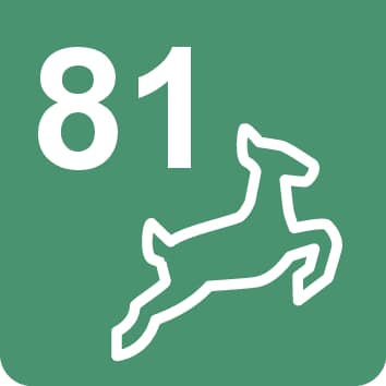 Nr. 81 Wanderweg - 3,5 km