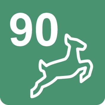 Nr. 90 Wanderweg - 5,9 km