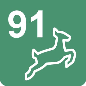 Nr. 91 Wanderweg, Nordic Walking - 7,8 km Nr. 91 Wanderweg, Nordic Walking - 7,8 km