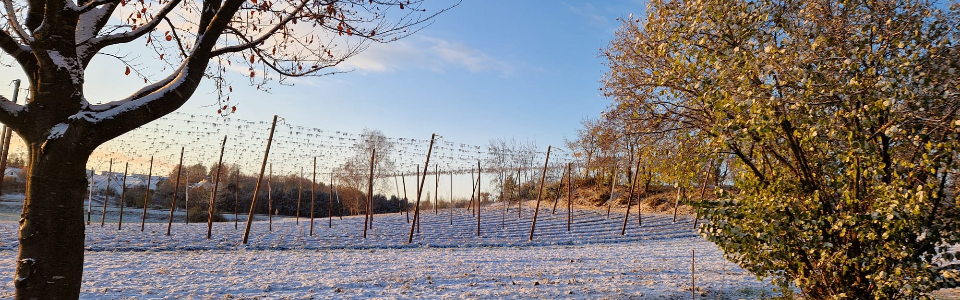Slider Hopfengarten mit Schnee