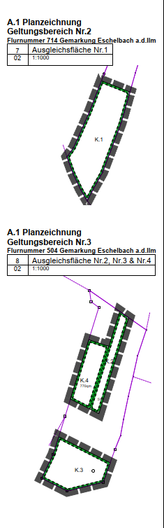 Geltungsbereich Nr. 2 und Nr. 3 Ausgleichsfläche Höckmeier